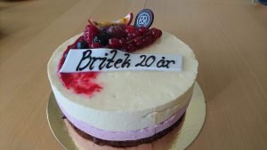 Den 1a april för 20 år sedan bildades företaget BRITEK.