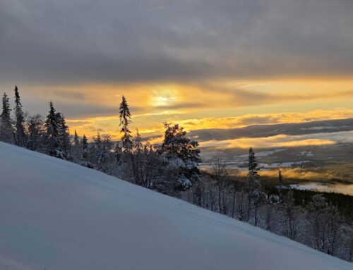 God Jul och Gott Nytt År